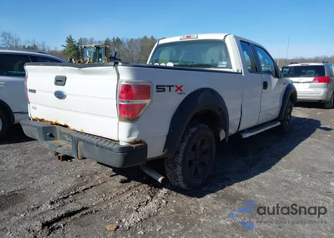 2010 Ford F-150 Stx/Xl z USA, uszkodzony, nr VIN 1FTEX1EW4AFB77847